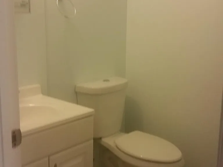Powder room - half bathroom