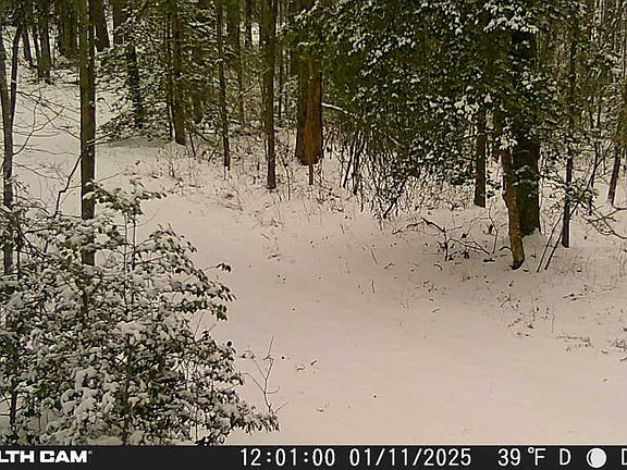 5th image of Smith Mountain Rd