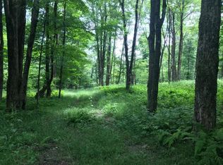 0 Mackey Rd, Franklin, NY 13775