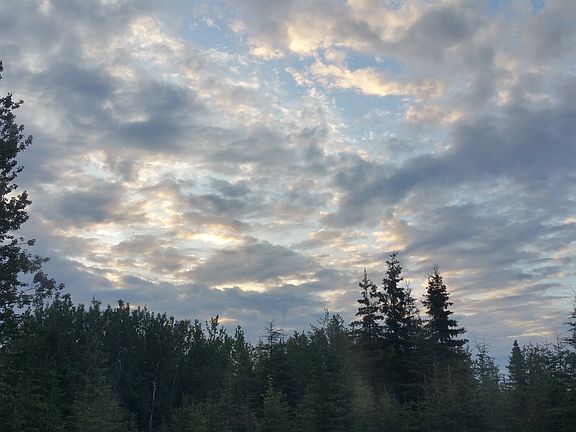 Backyard 2