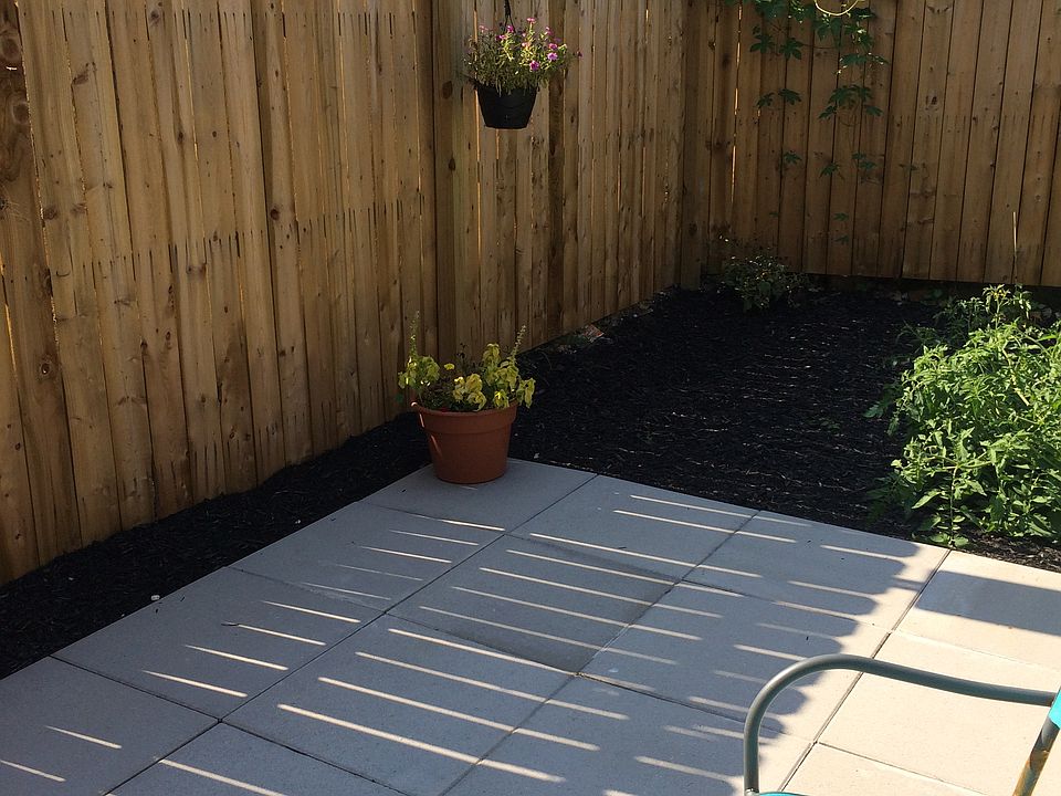 Back yard, patio