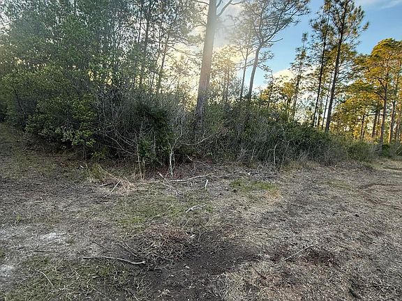 4th image of 13816 Forts Lake Rd