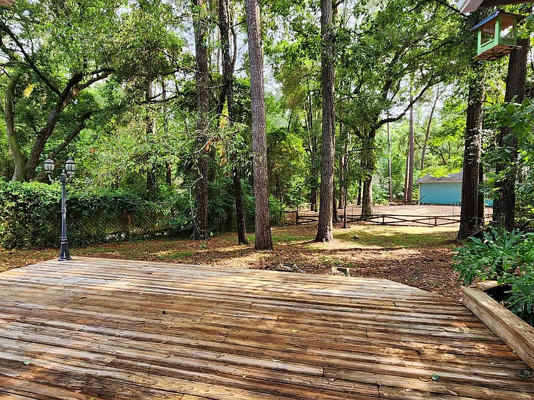 Deck and Back Yard