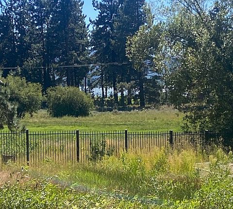 view of meadow and lake