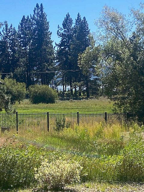 view of meadow and lake