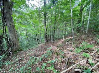 0 Grasty Rd, Clyde, NC 28721