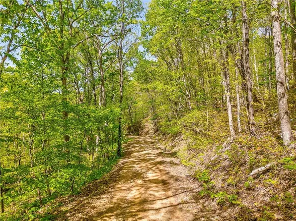 418 NE Dunaway Gap #257, Summerville, GA 30747