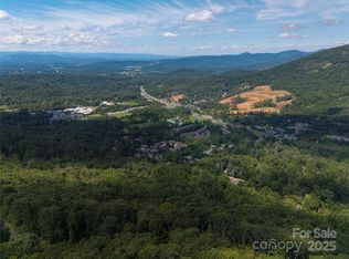 52 Castanea Mountain Dr, Asheville, NC 28803