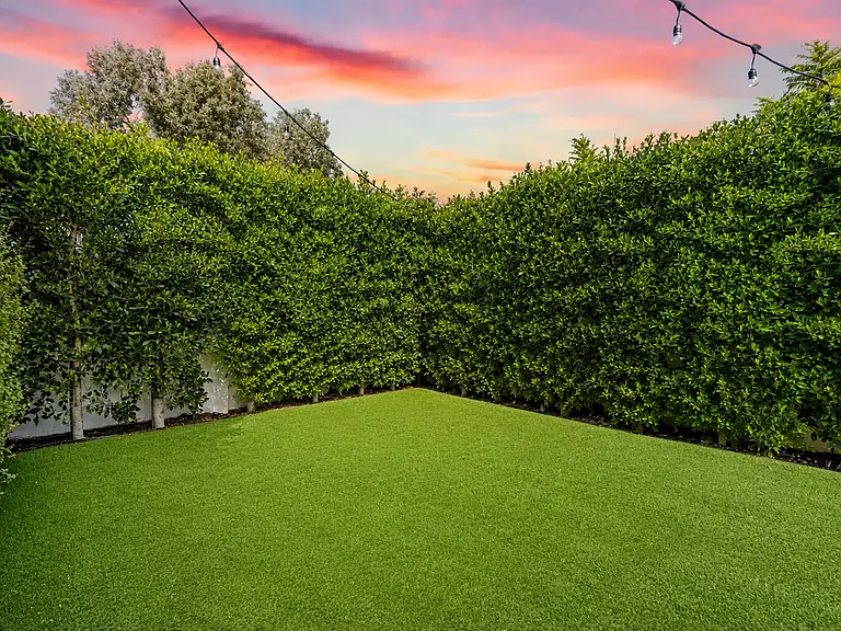 Front Yard