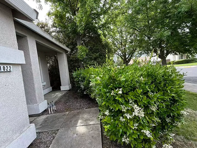 1022 Bess Pl — Photo 2