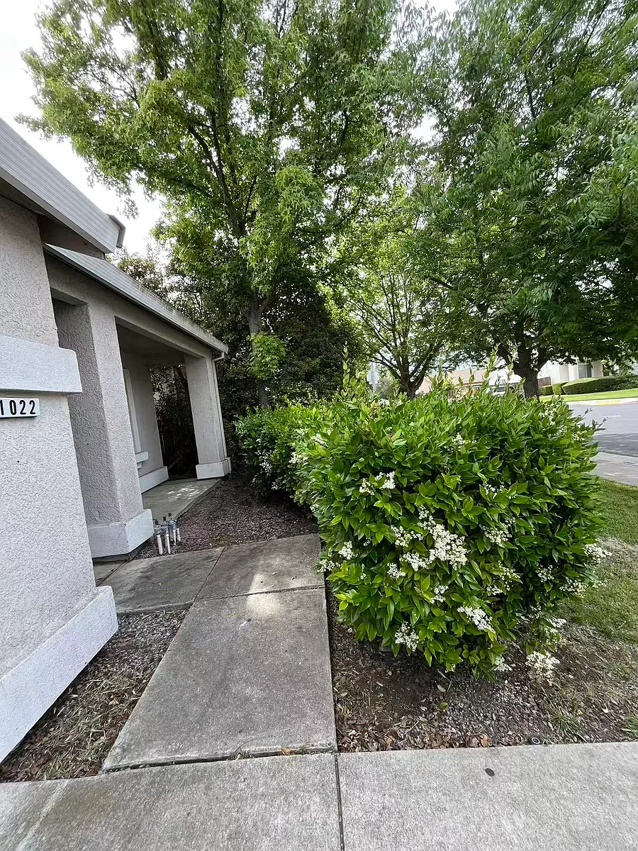 Building Photo - 1022 Bess Pl