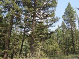 80 E Handcart Cir, Florissant, CO 80816