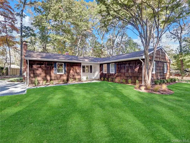3 bed, 2.0 bath, 1769 sqft, $4,500 — Photo 4