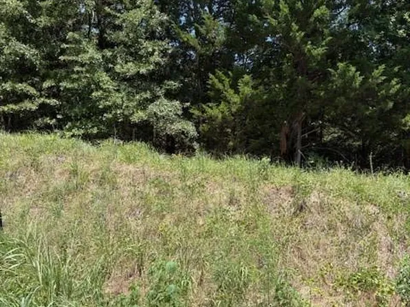 N Chickasaw St, Colbert, OK 74733