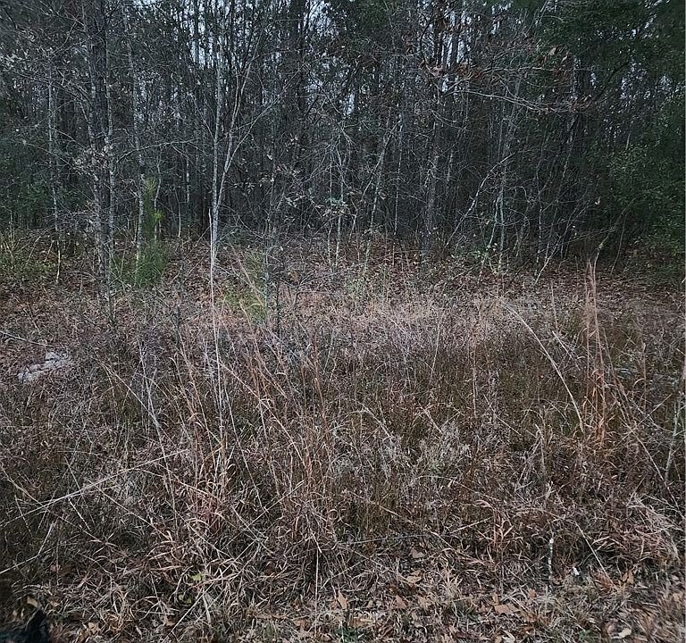 1st image of 63 Kowaliga Rd