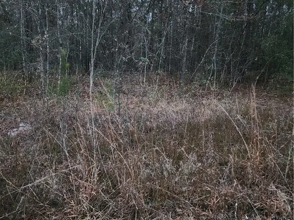 63 Kowaliga Rd, Elmore, AL 36025