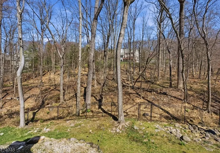11 Rosewood Ln — Photo 47