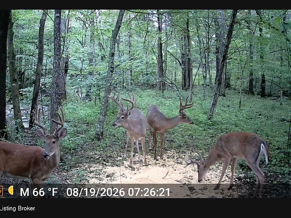 5th image of 3977 Baker Ridge Rd