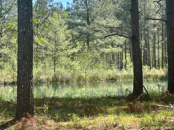 223 Plumtree Circle, Edenton, NC 27932