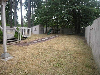Back yard