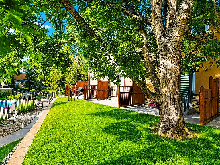 Walkout Outdoor Living Space