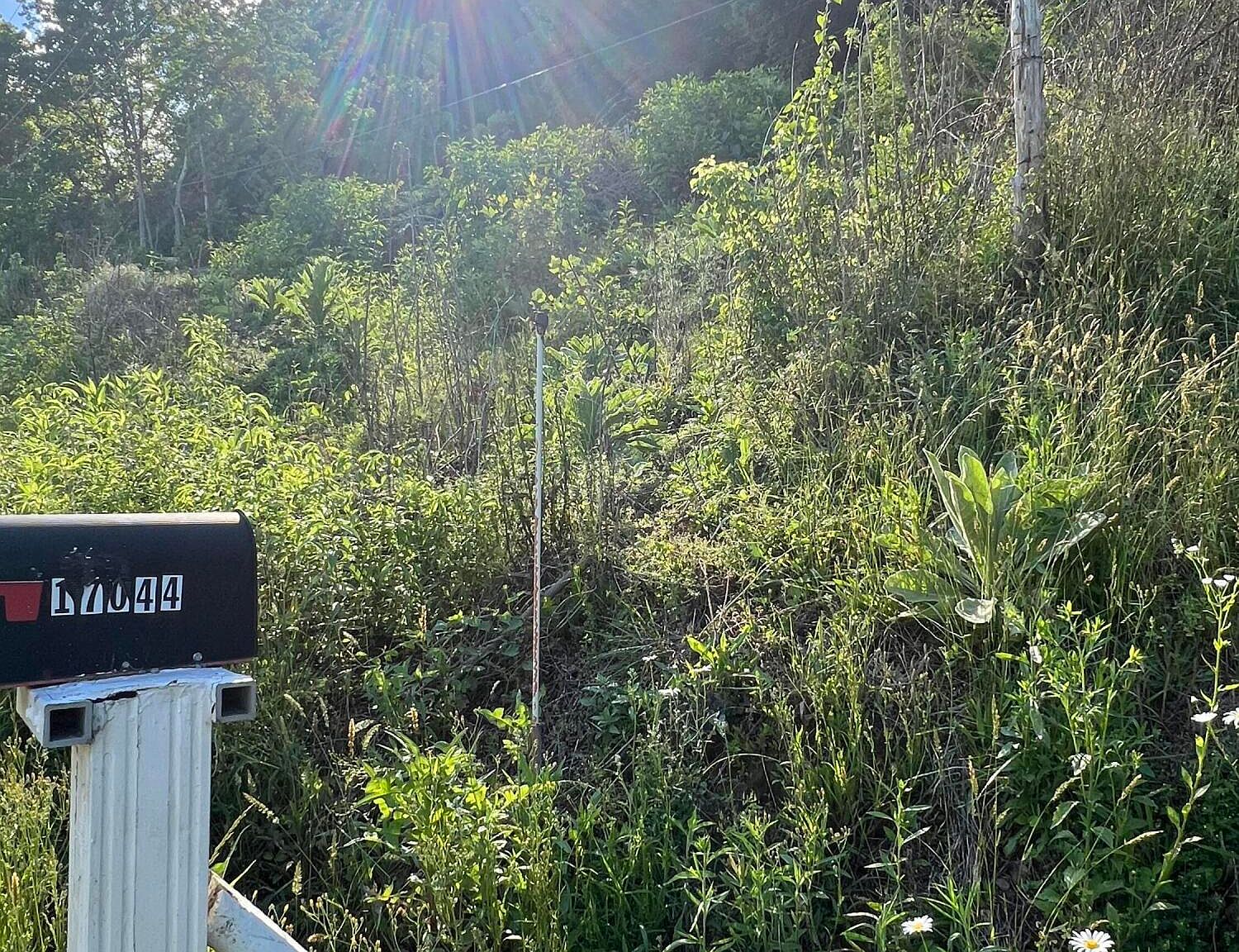 Tbd N Fork River Rd, Abingdon, VA 24210 MLS 9966498 Zillow