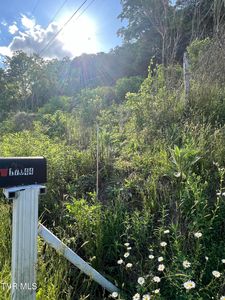 Tbd N Fork River Rd, Abingdon, VA, 24210