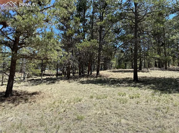 179 Monument Ln, Florissant, CO 80816