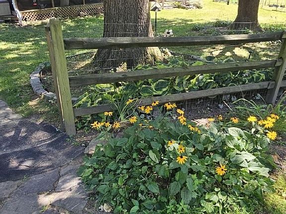 5th image of 17208 Hunter Green Rd