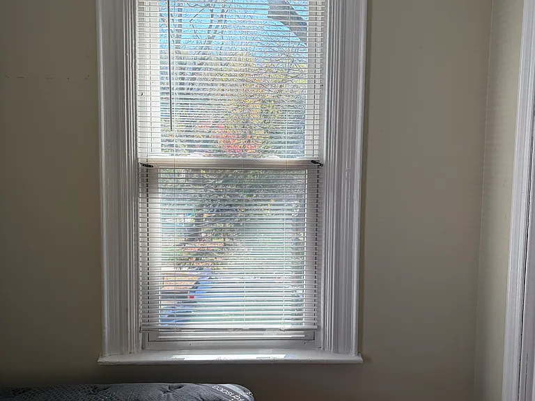 48 Alleghany St — Photo 6