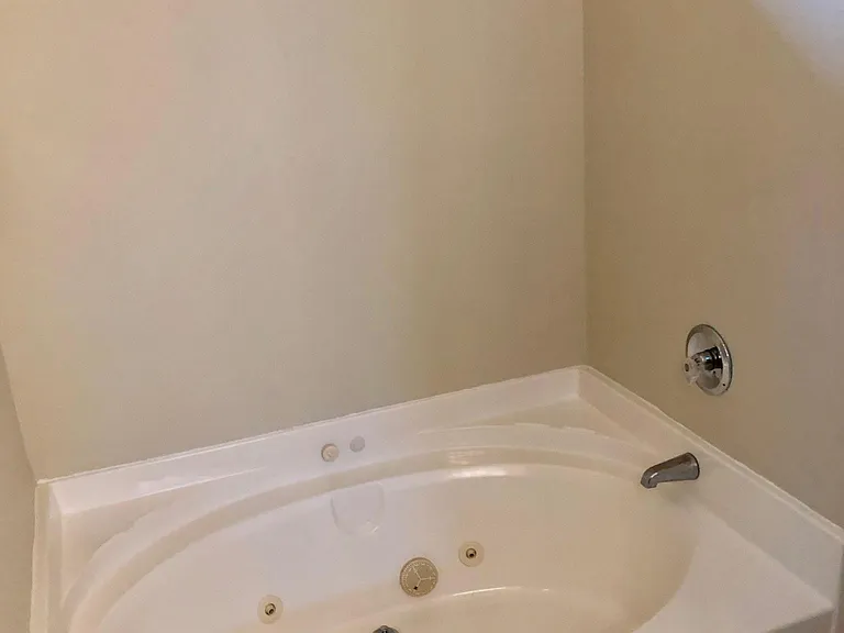 Master Whirlpool Tub