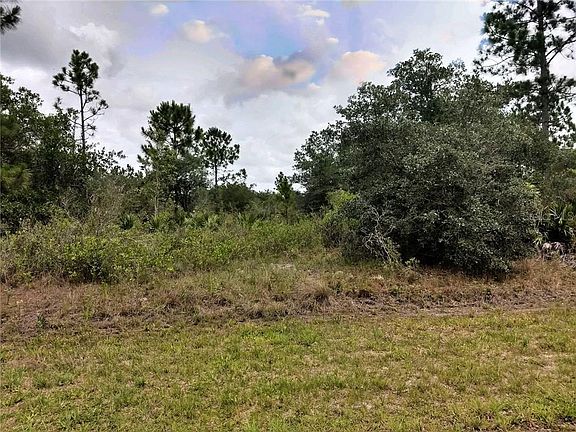 3rd image of 424 Gaillardia Dr