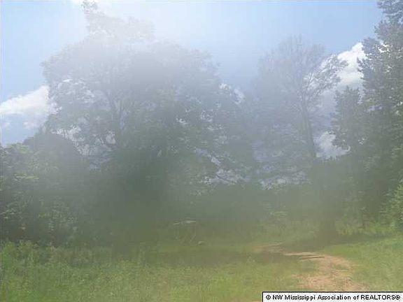 2nd image of 594 Strayhorn Lake Dr