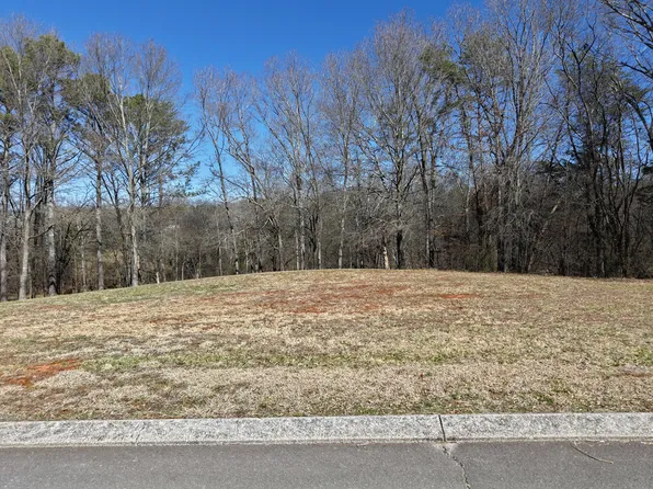 161 Riverside Dr, Benton, TN 37307