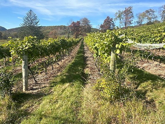 5th image of 00WP Travis Hill Rd