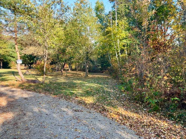 Tower Rd, Athelstane, WI 54104