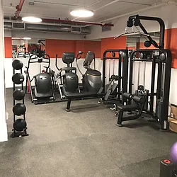 Rented by Sieber International