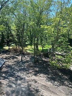 3rd image of 25955 Wild Rose Ln
