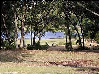 Spring fed pond view from back of house