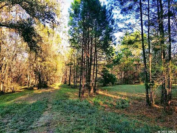 5th image of 21593 NW County Road 241