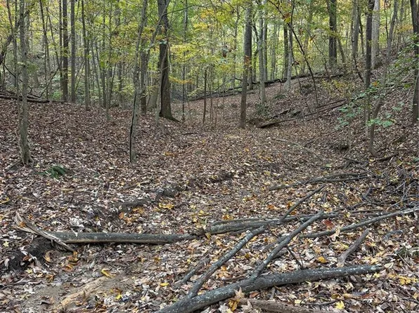 343 County Rd, Bell City, MO 63735