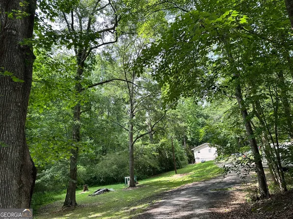 162 McIntosh St, Whitesburg, GA 30185