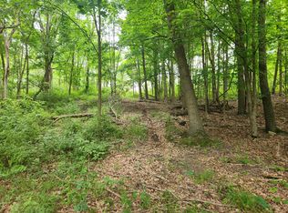 Vl N Ridge Ct, Middleville, MI 49333