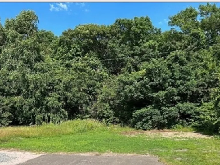 35 Locust St — Photo 4