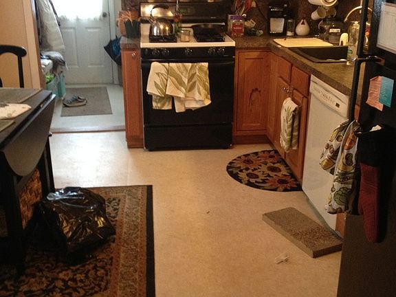 Dishwasher, gas stove, full-size fridge.