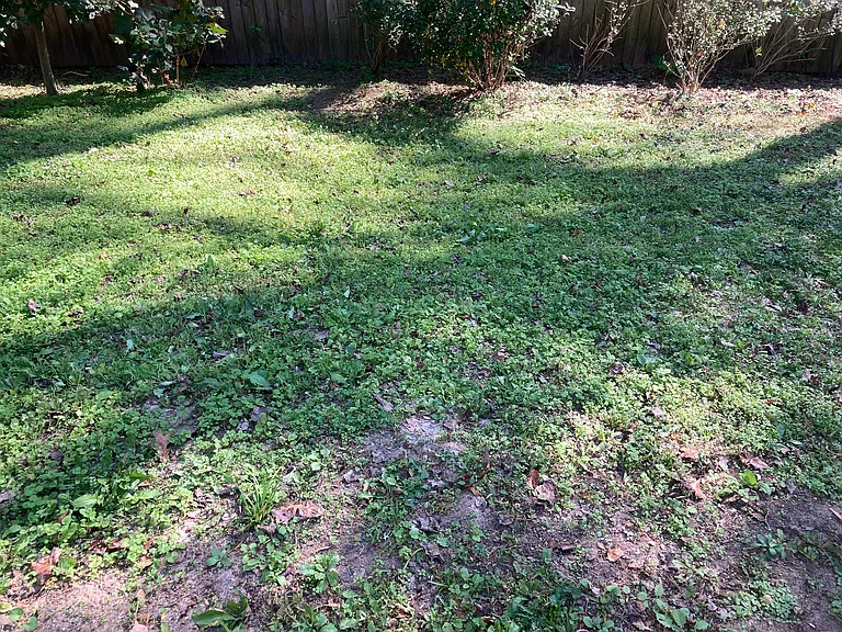 1103 Palafox Dr NE — Photo 33