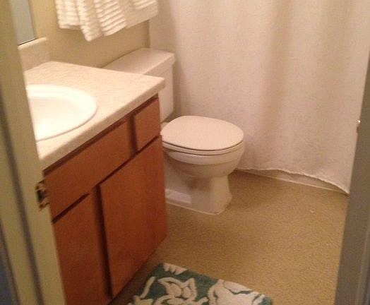 2nd image of 106 Caspia Ct
