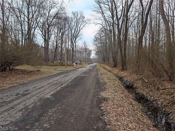 4th image of Magnolia Dr