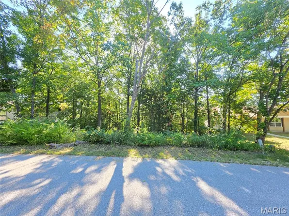 9744 Lee Dr, Hillsboro, MO 63050