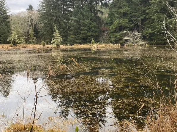 Wildwood Dr, North Bend, OR 97459